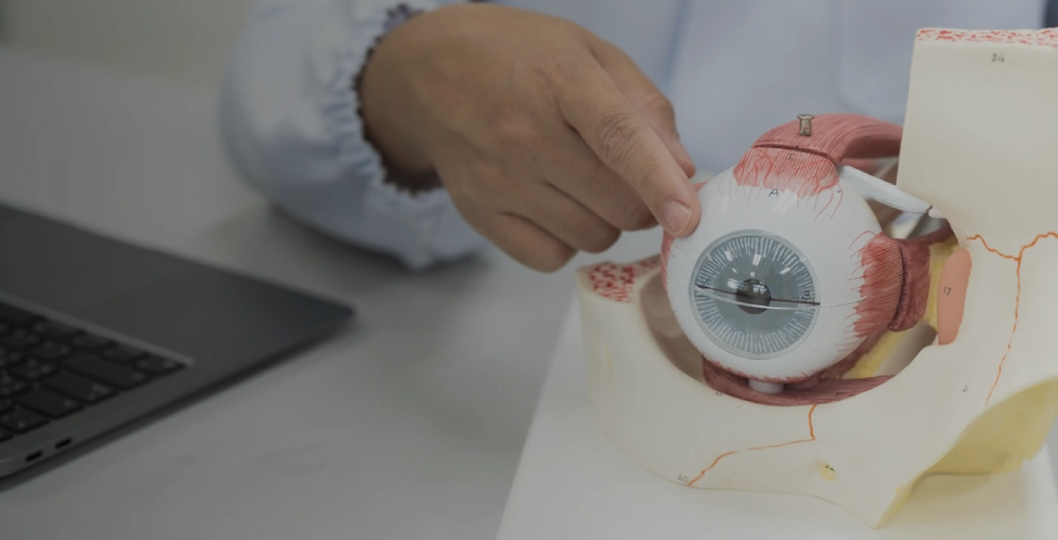 Optometry colleges in kannur